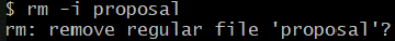 RM command in the shell